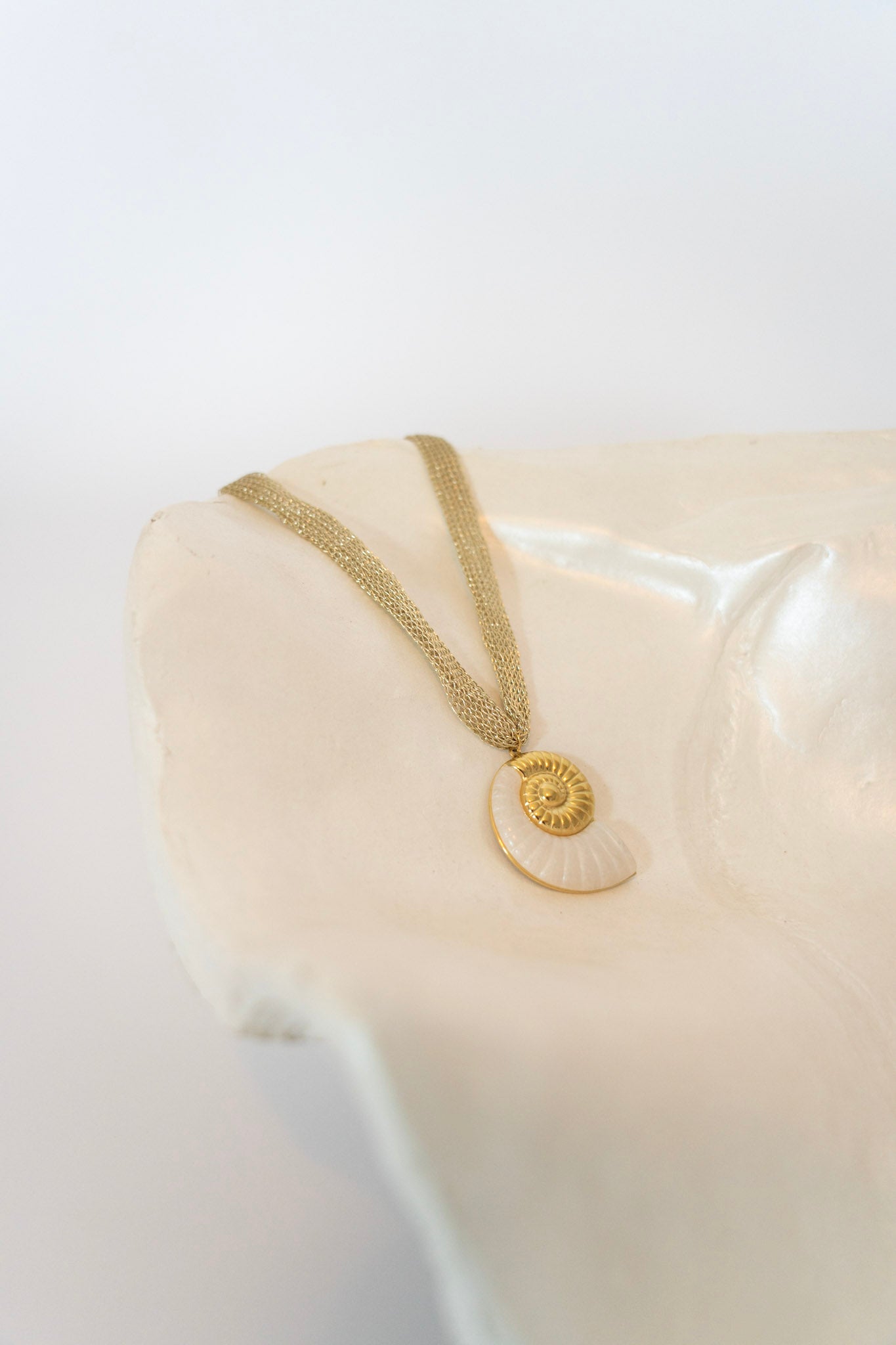 Sea Shell Necklace
